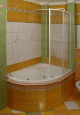 Душевые шторки Ravak VSK 2 Rosa LR